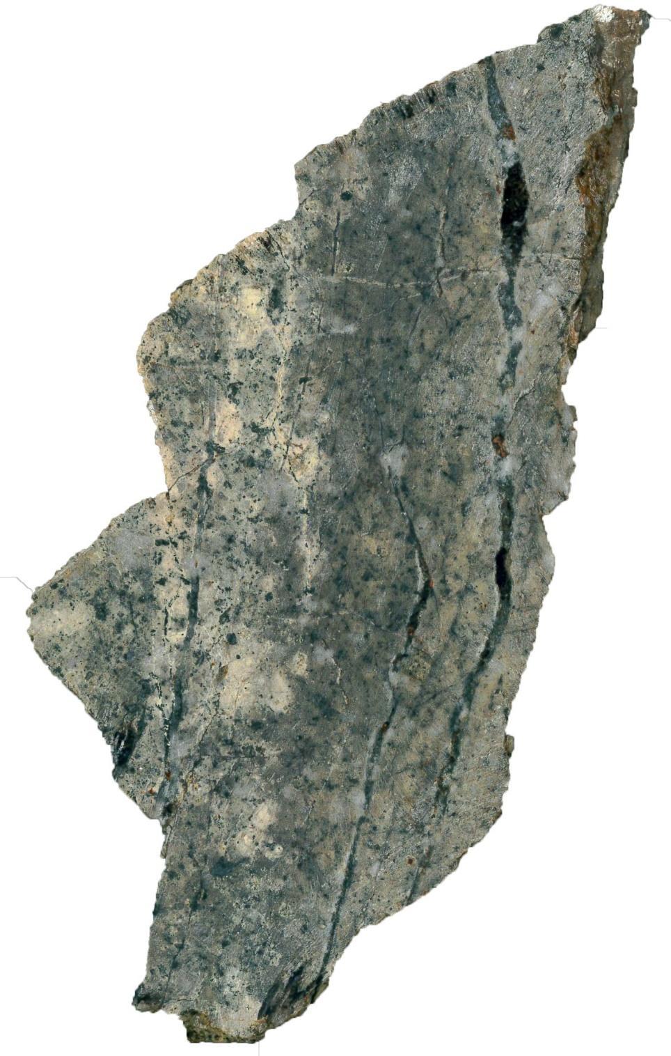 Figure 3 : Échantillon de roche volcanique rhyolitique altéré et recoupé par des fissures à quartz et chlorite